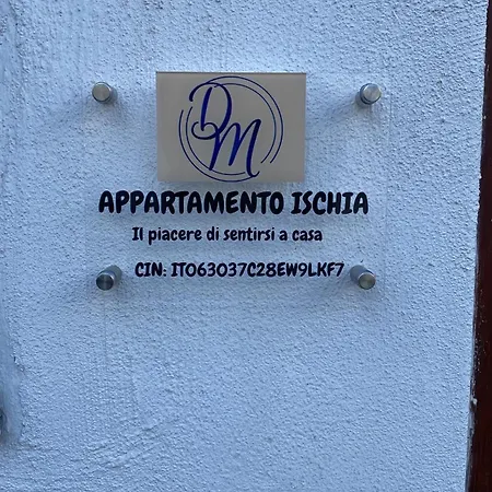 Dm Ischia